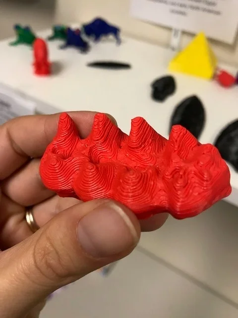 Printed replica of a real mammoth tooth!