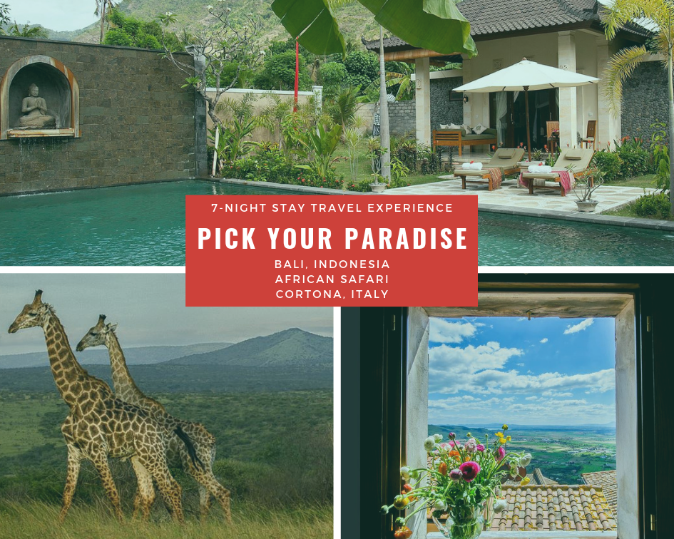 Pick your paradise.png