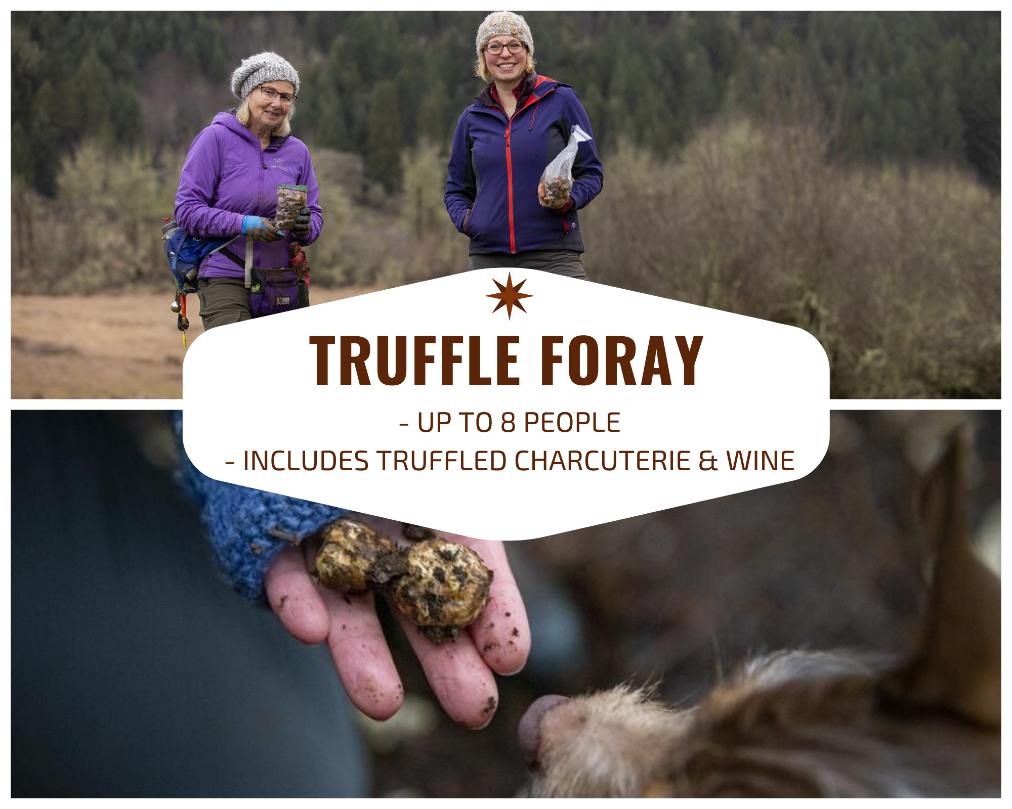 truffle hunting.png