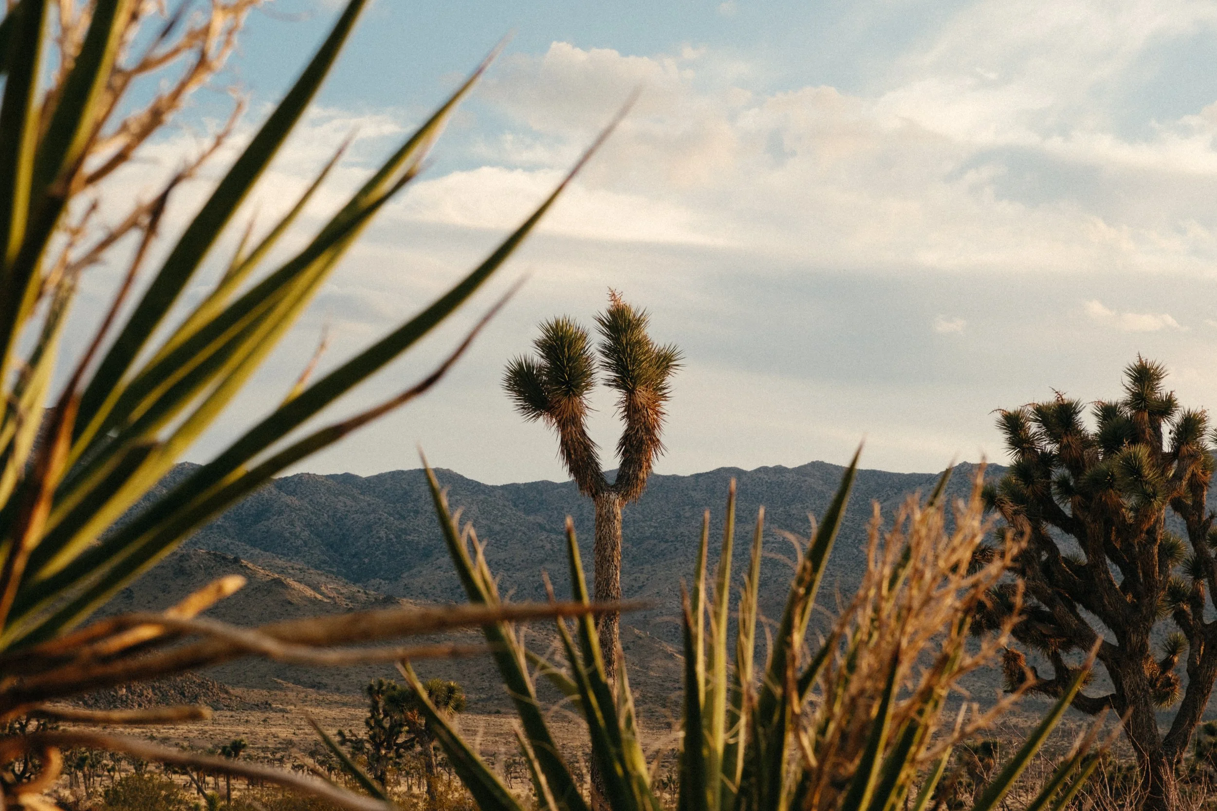 Forever West_2024 Selects-42.jpg