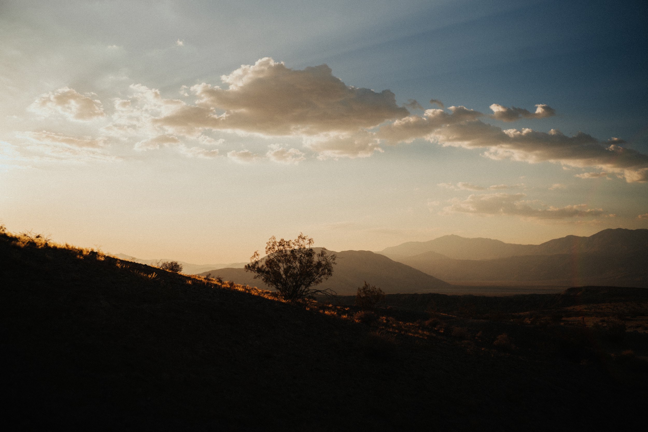 Forever West_2024 Selects-63.jpg