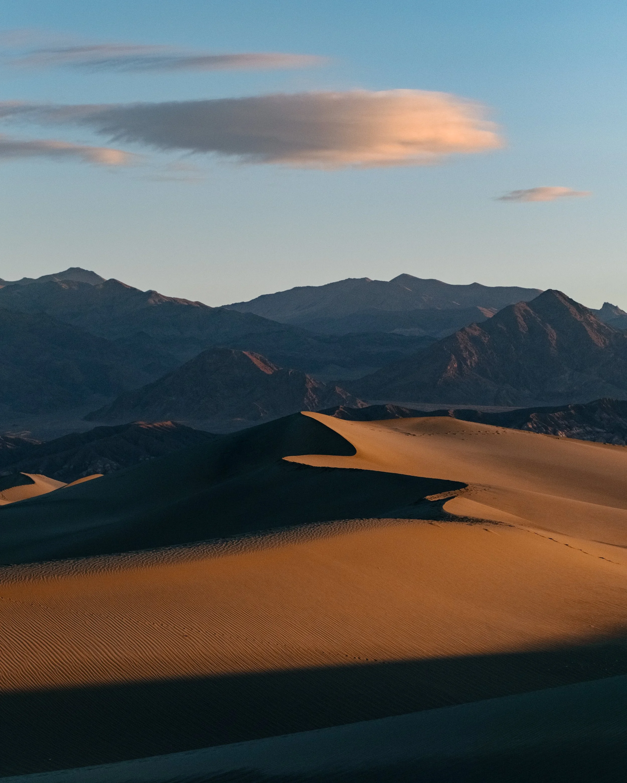 Forever West_2021 Selects-35.jpg