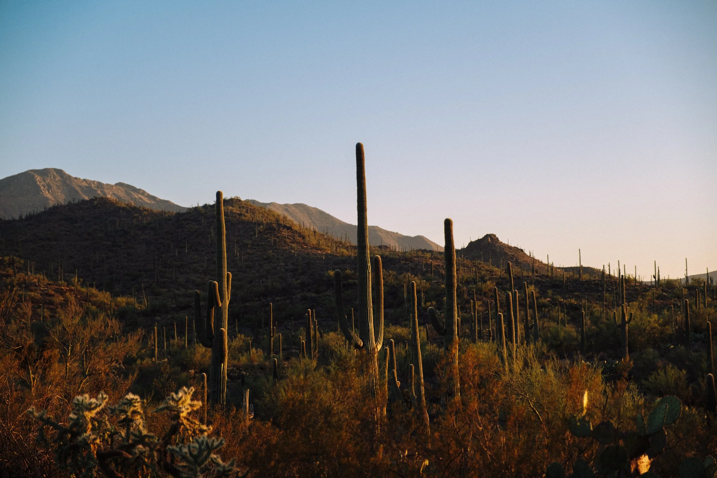 Forever West_Early 2020 To June 2020-112.jpeg
