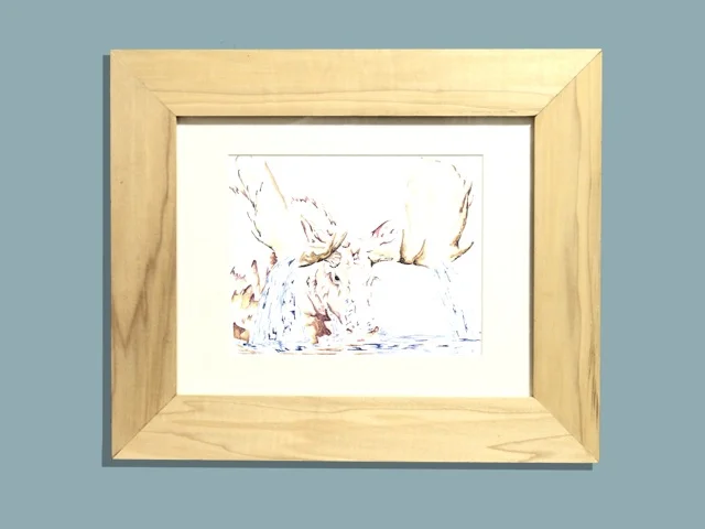 Moose Drool Frame 1.jpeg