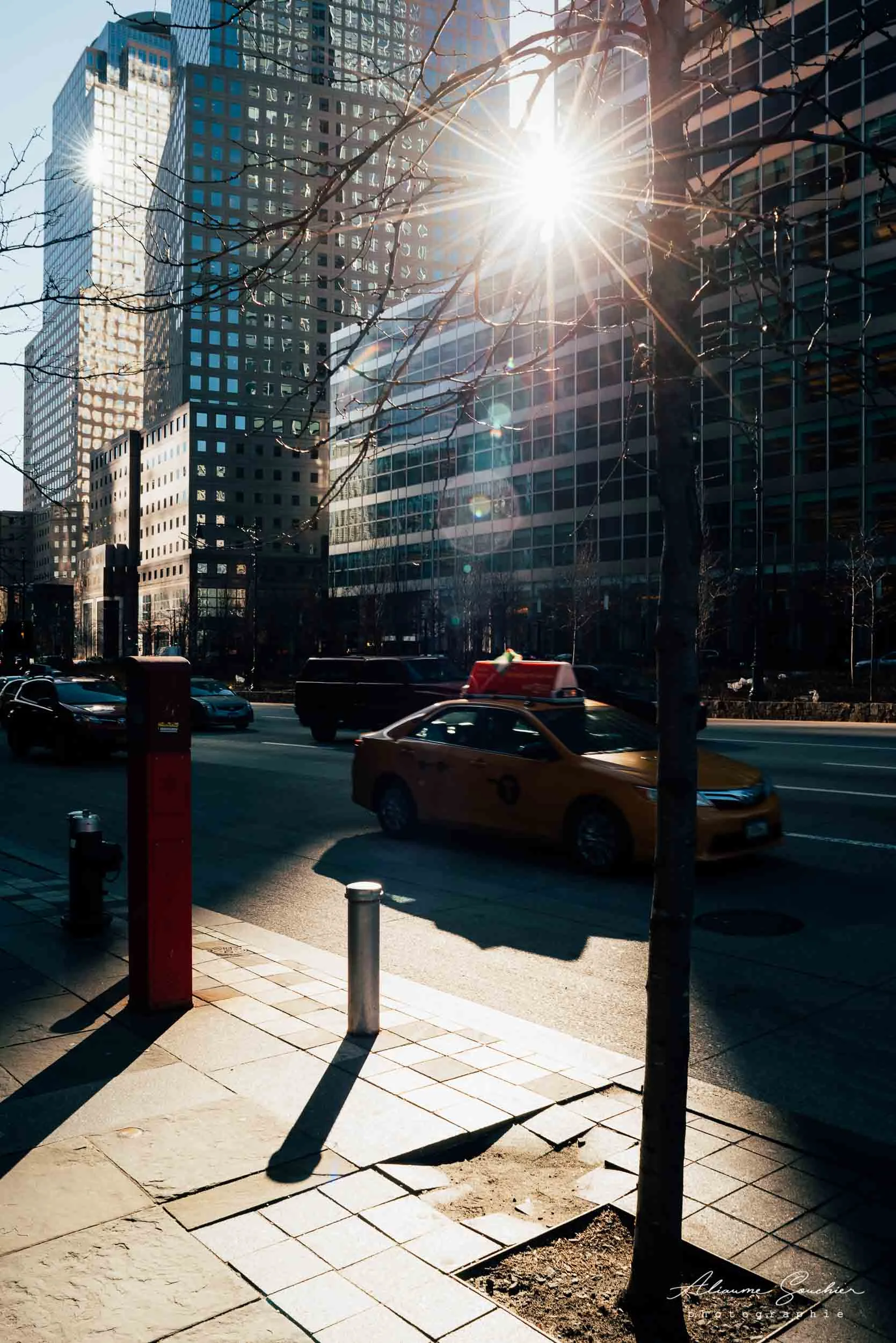 New York Aliaume Souchier