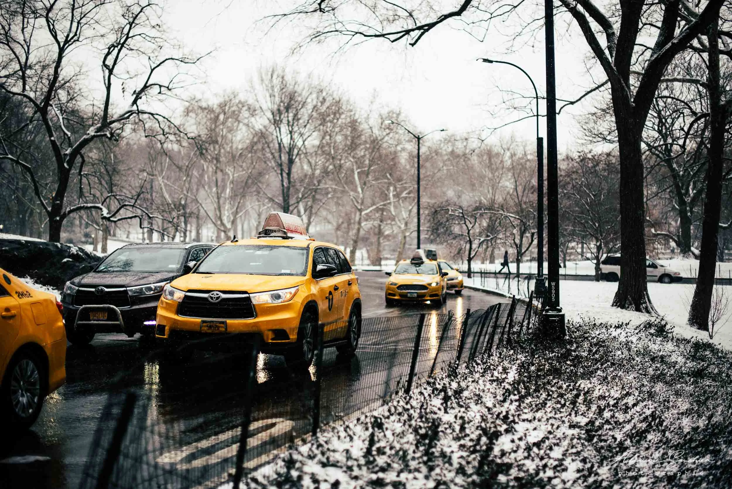 New York Aliaume Souchier