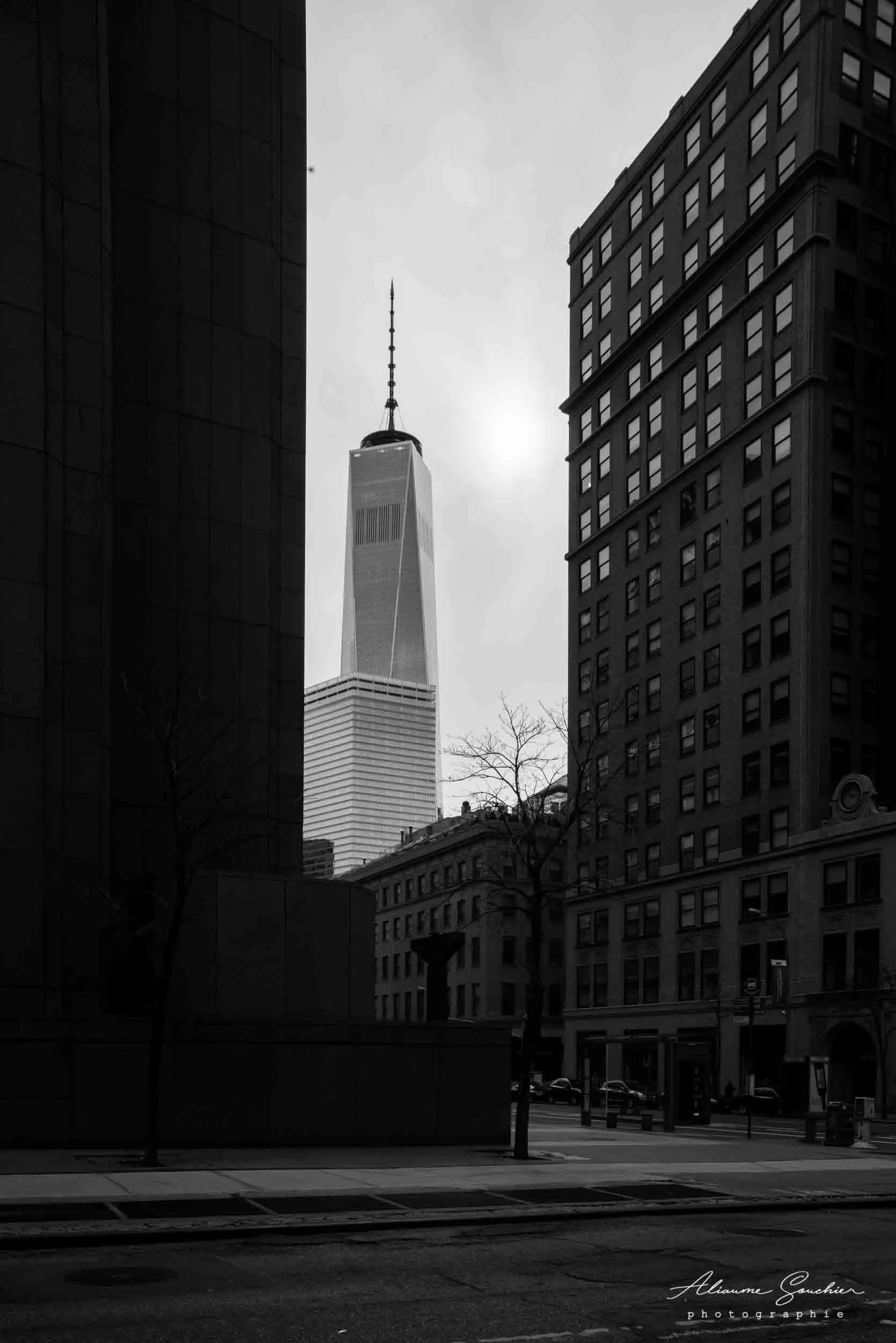 New York Aliaume Souchier
