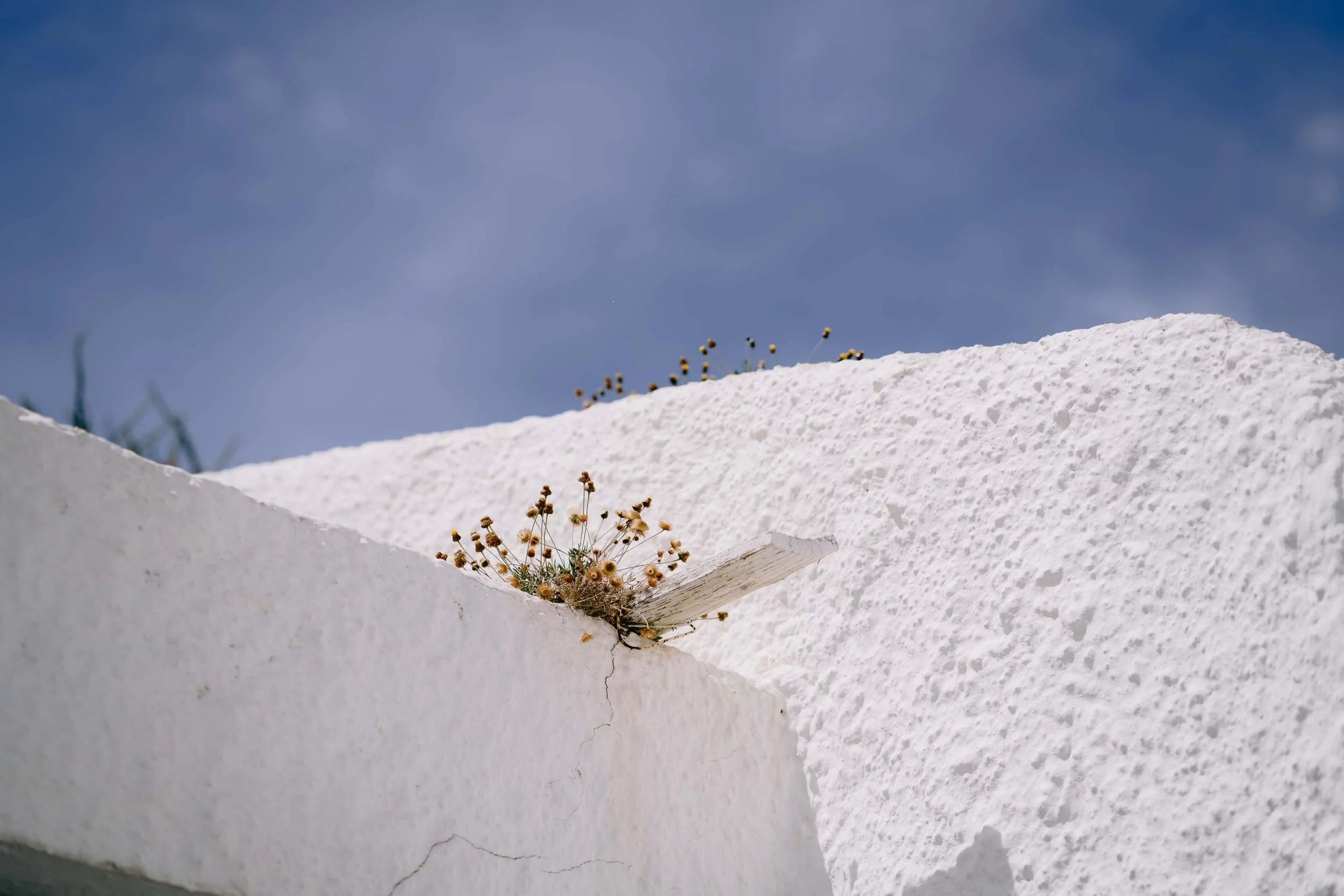 Santorin-57.jpg