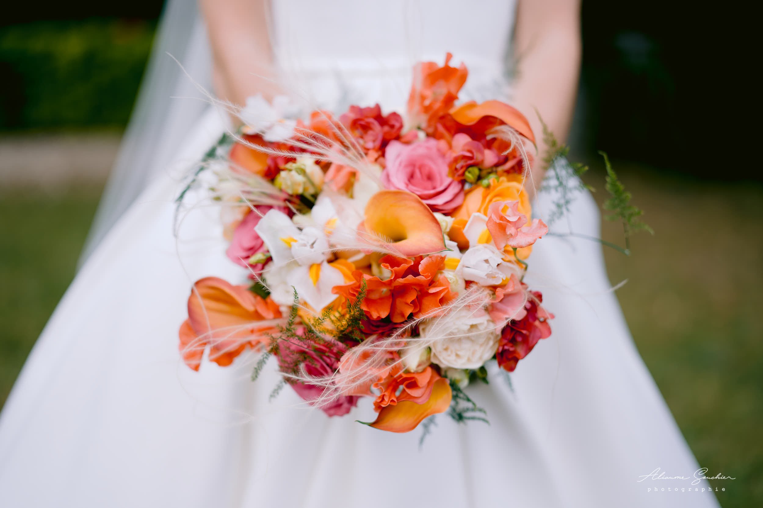 2025 squarespace 0026.jpg