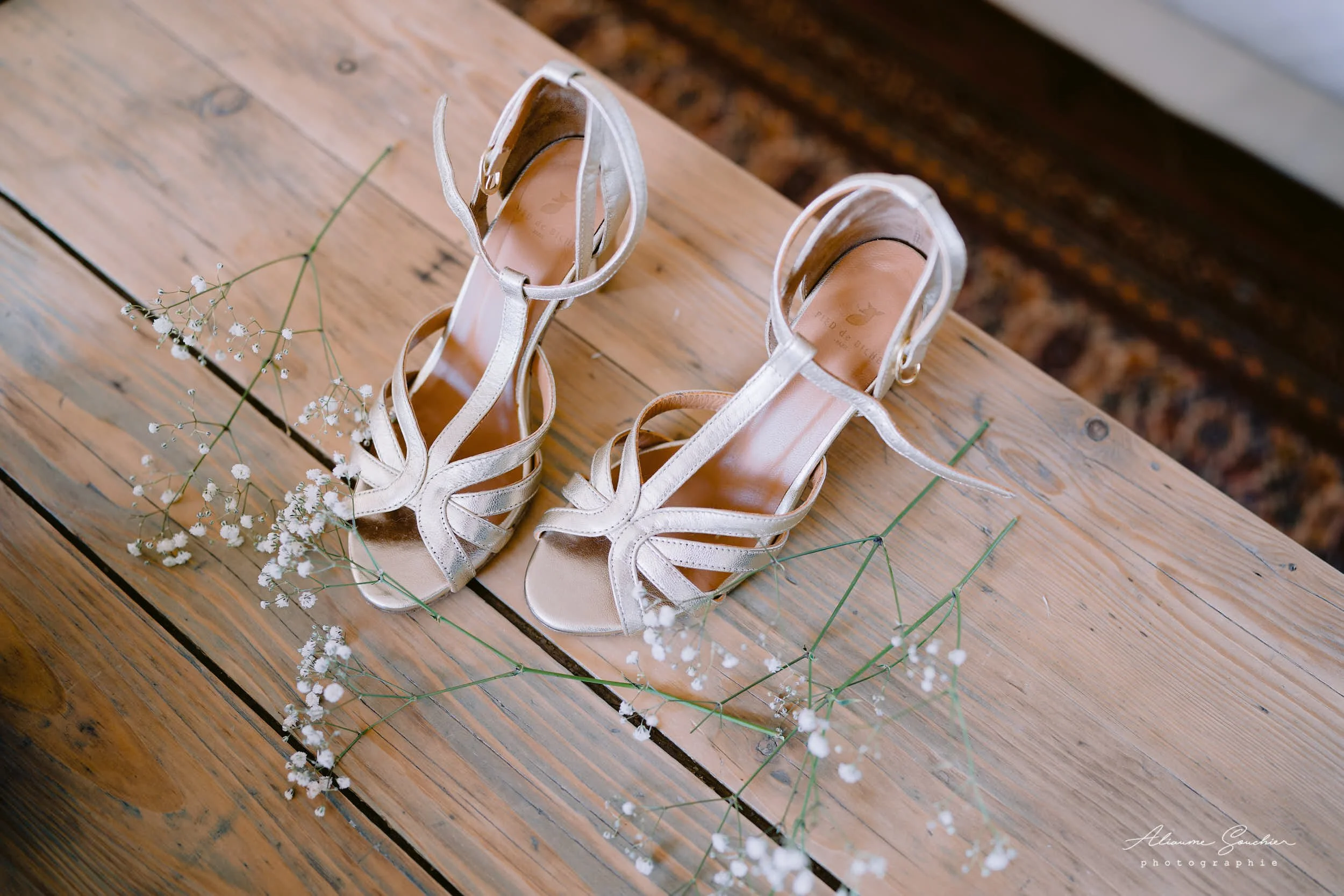 2025 squarespace 0061.jpg