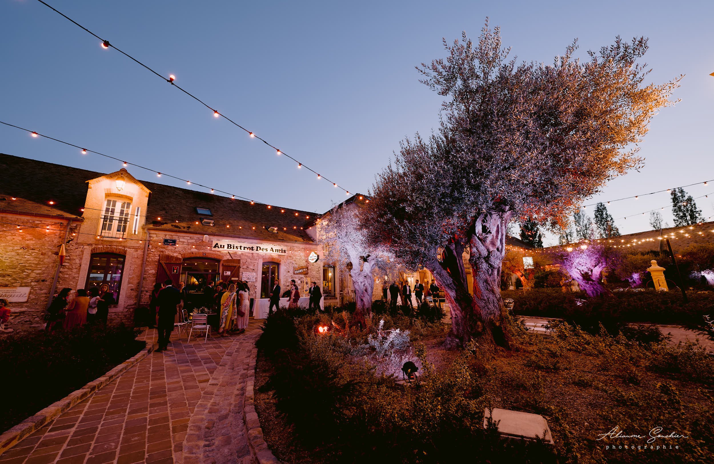 2026 squarespace 0060.jpg