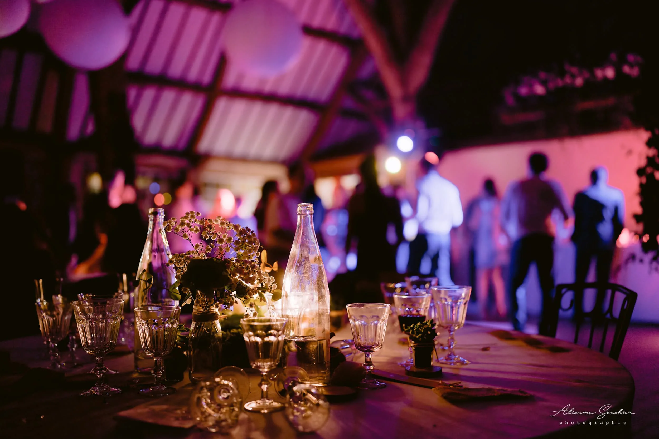 2026 squarespace 0083.jpg