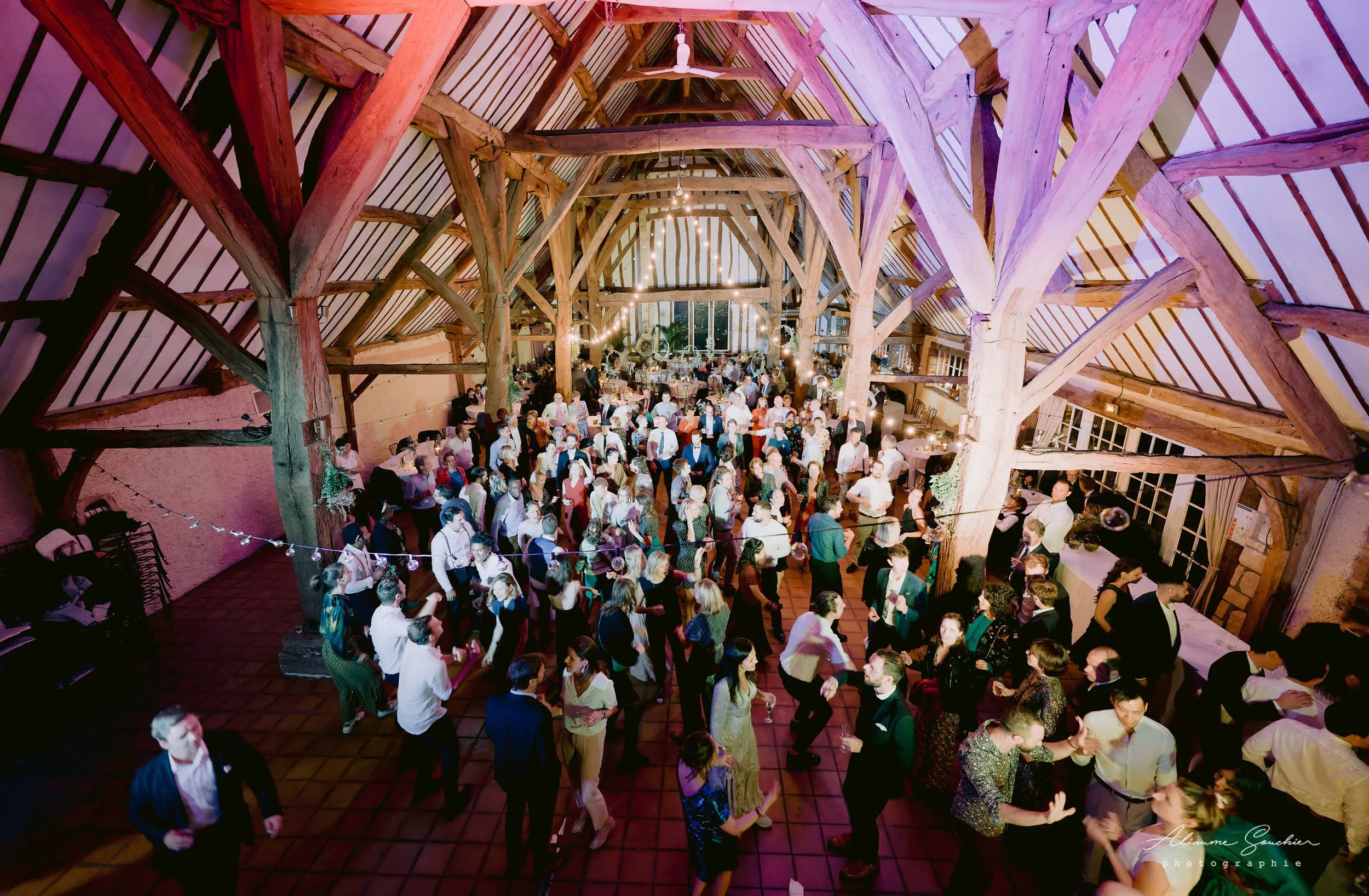 2026 squarespace 0102.jpg