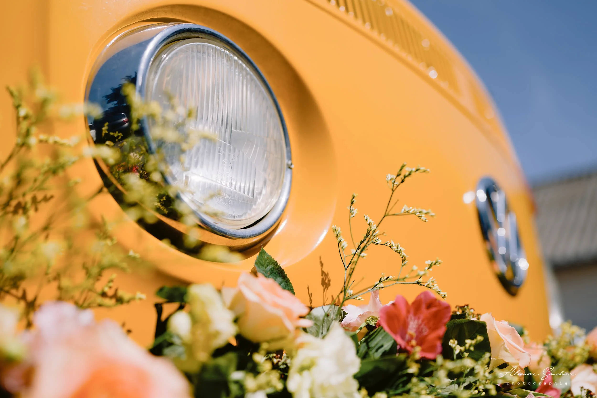 2026 squarespace 0141.jpg