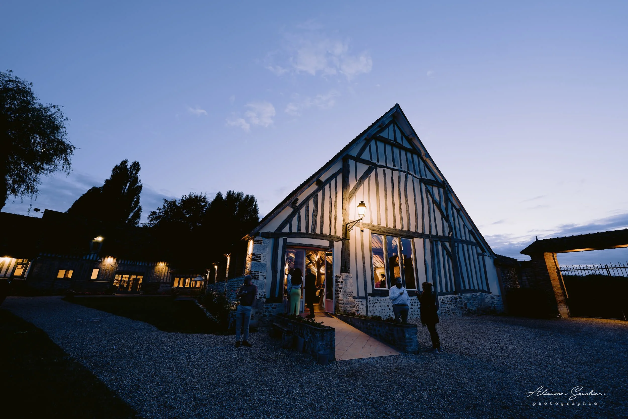 2026 squarespace 0210.jpg