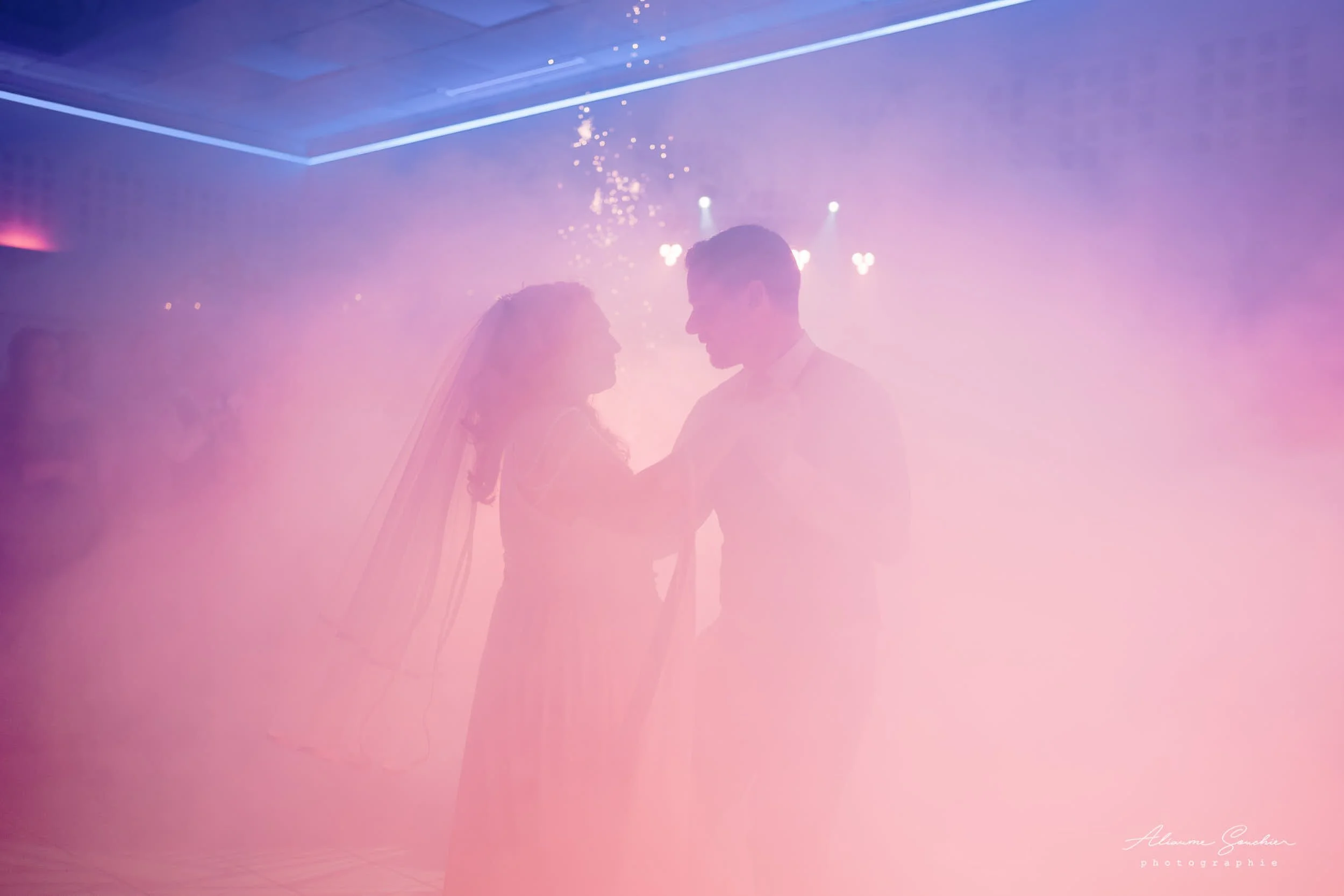 2026 squarespace 0214.jpg