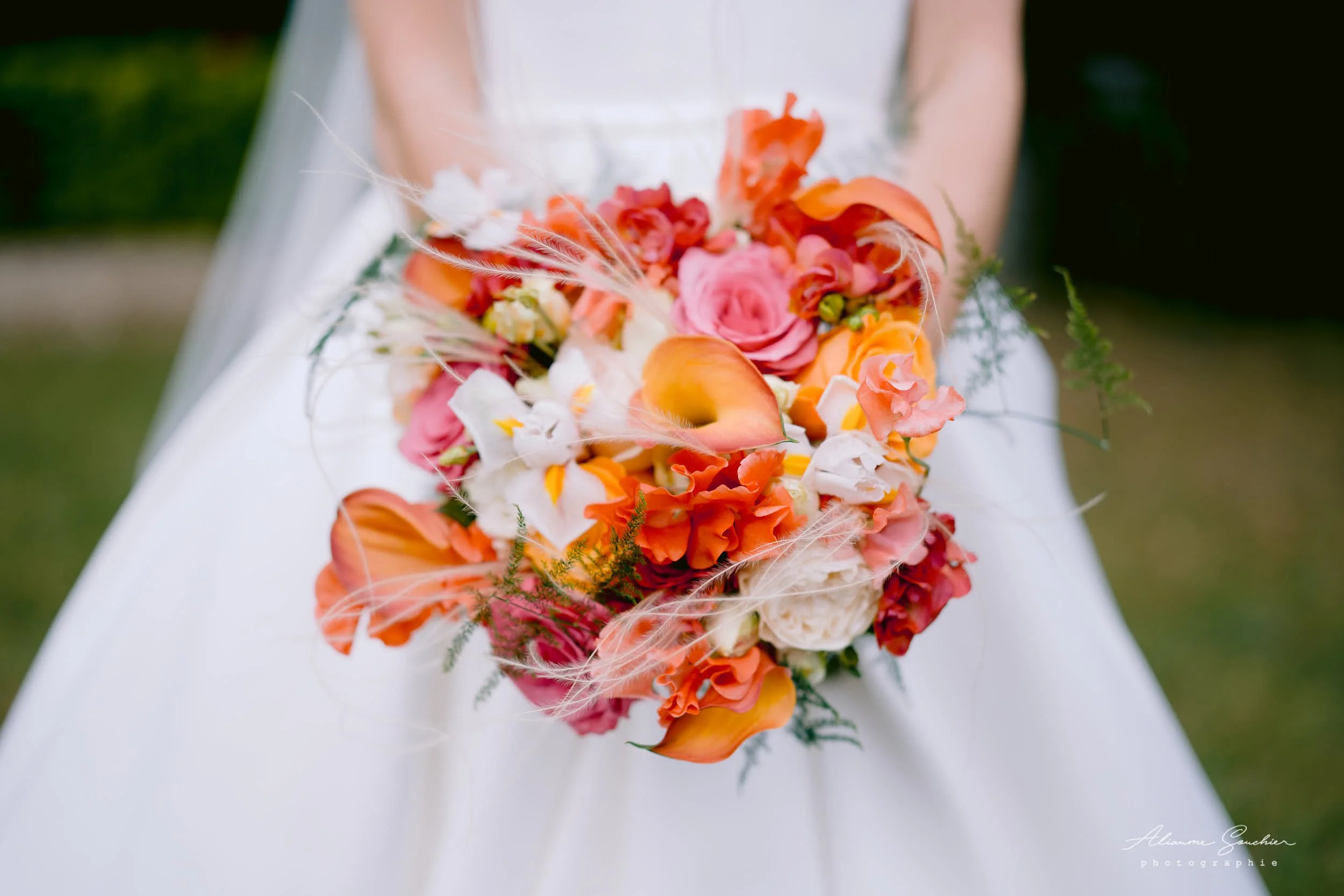 2026 squarespace 0239.jpg