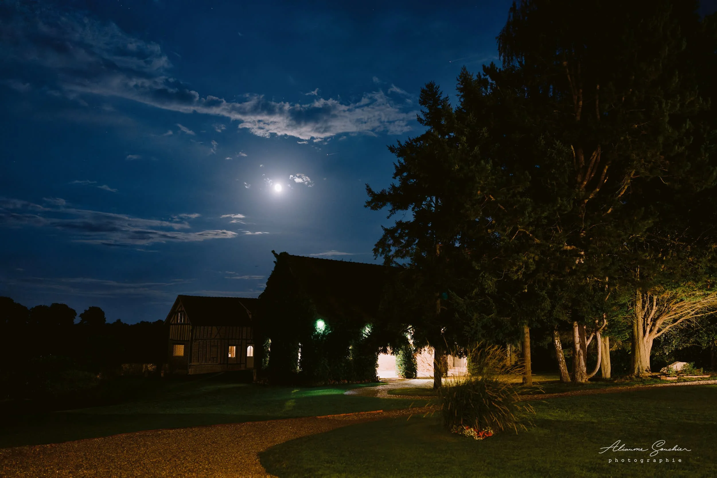 2026 squarespace 0224.jpg