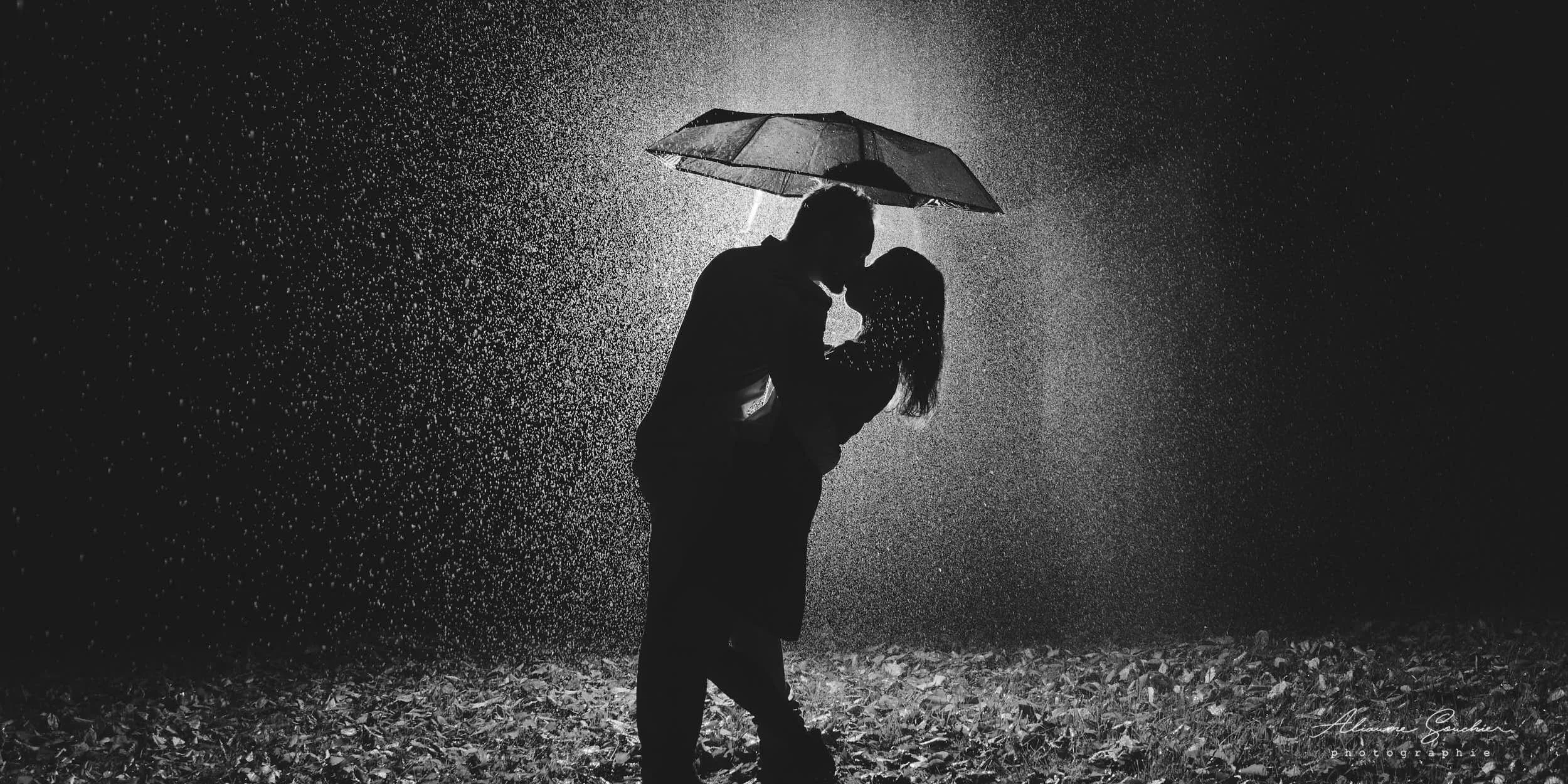 2026 squarespace covers 0013.jpg