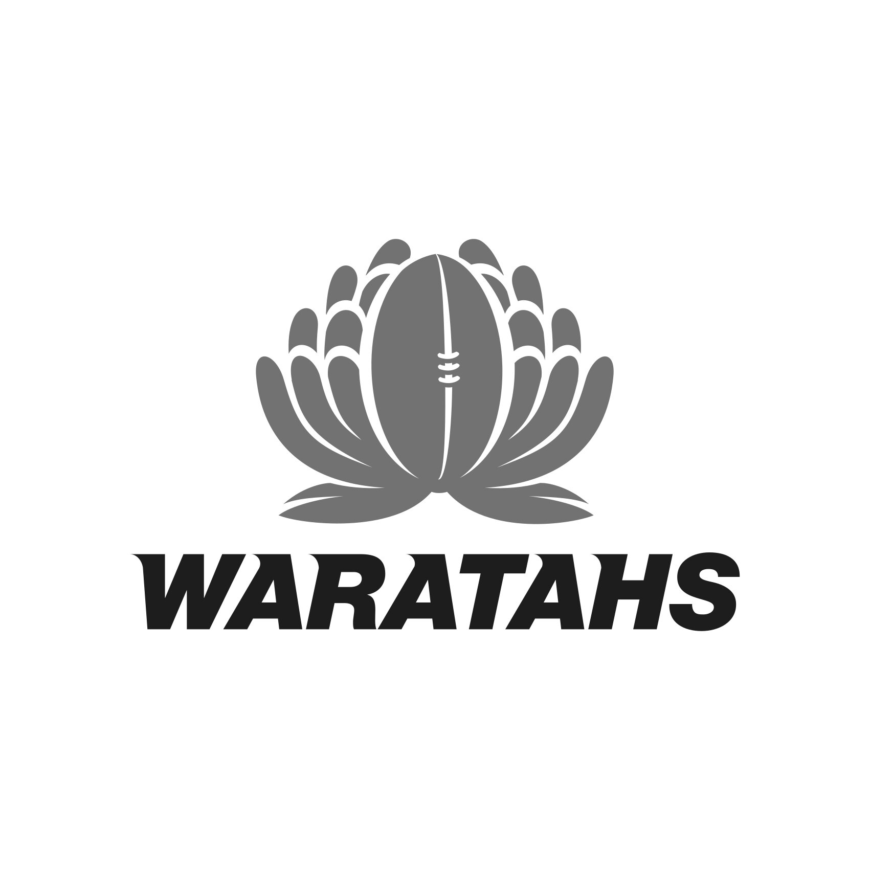 Waratahs bw.jpg