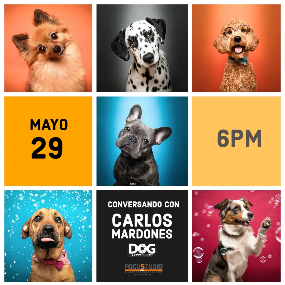 DOG EXPRESSION  Conversatorio Fotografico con Carlos Mardones 