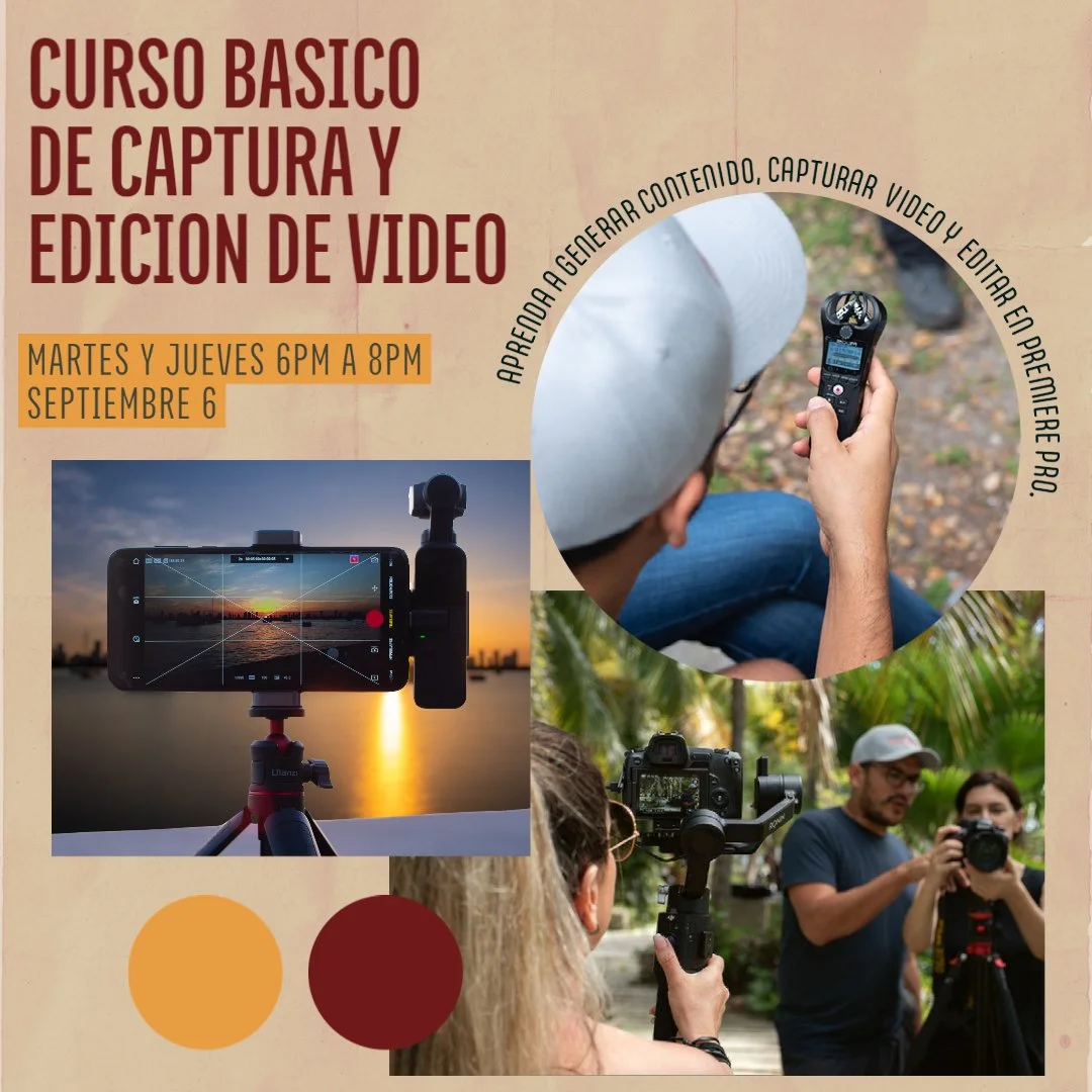 CURSO BASICO DE CAPTURA Y EDICION DE VIDEO