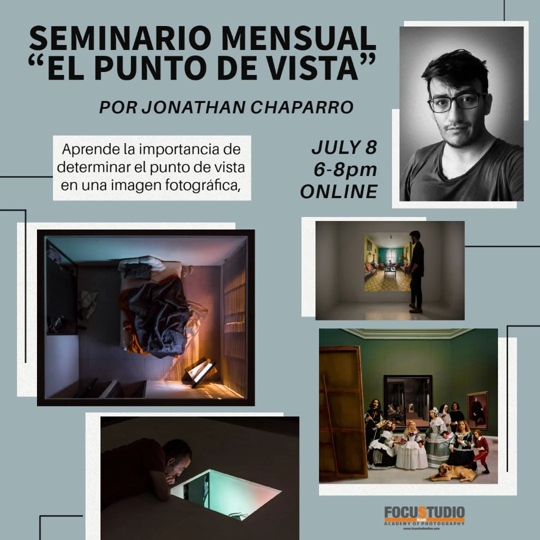 Seminario Online : “El Punto de Vista”