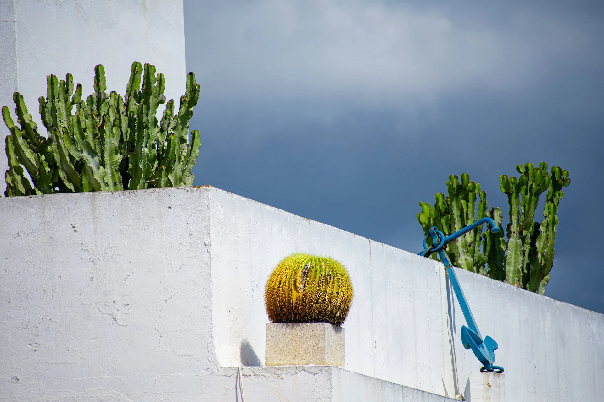  Primera academia de fotografia de habla hispana en la Florida 