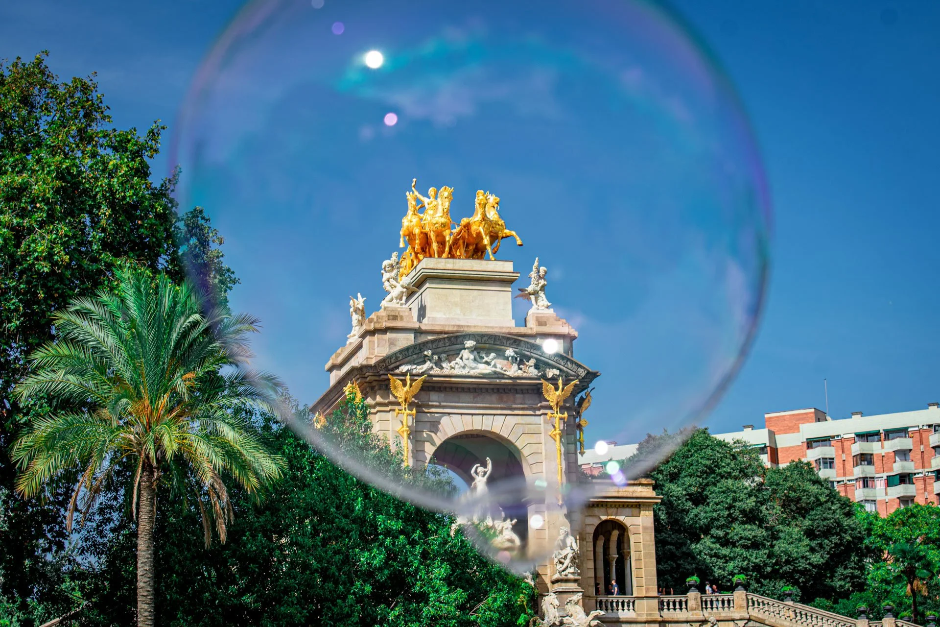  Primera academia de fotografia de habla hispana en la Florida 