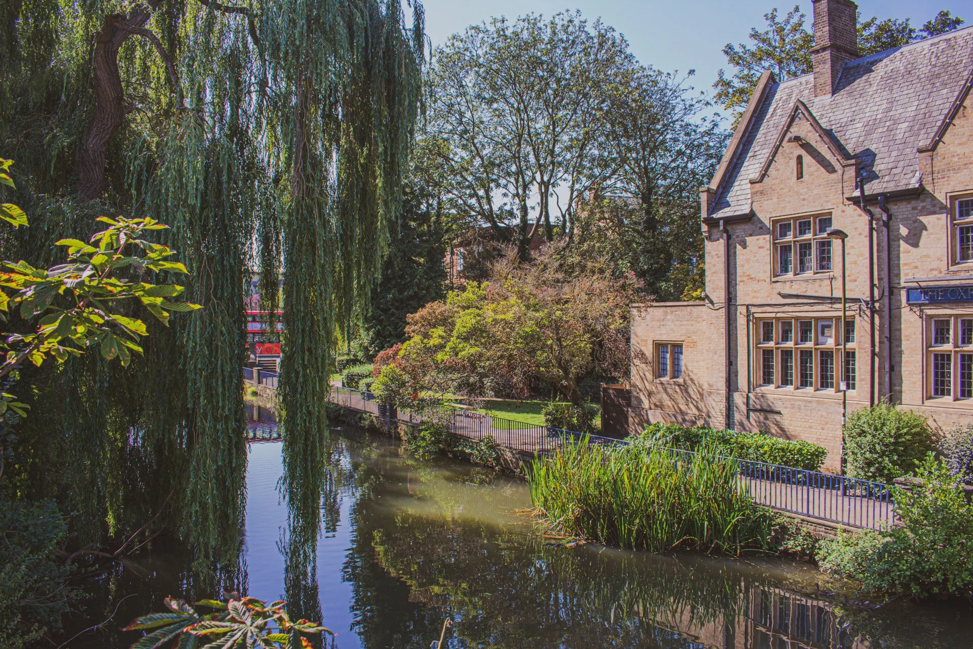  Primera academia de fotografia de habla hispana en la Florida 