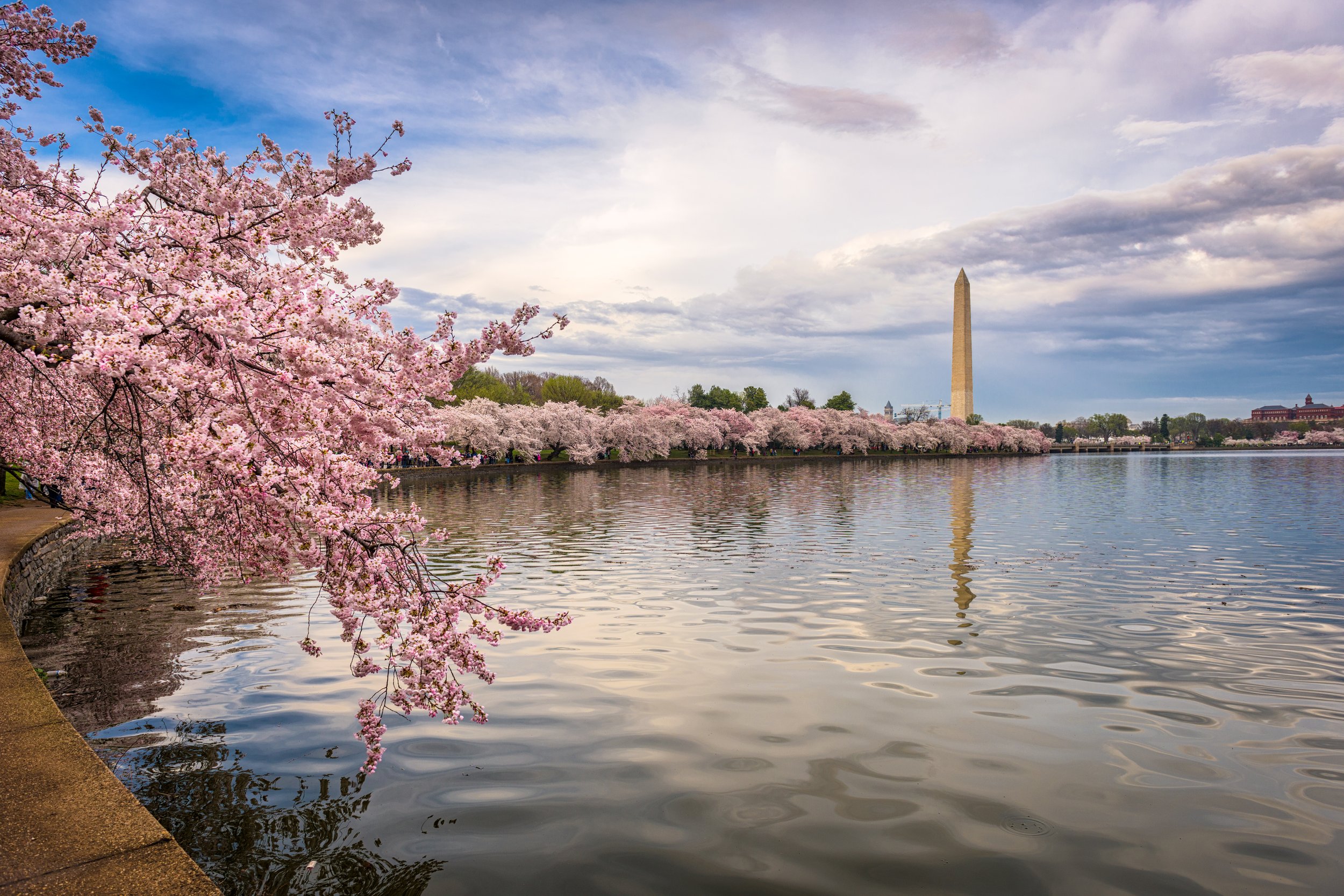 Washington DC in Spring