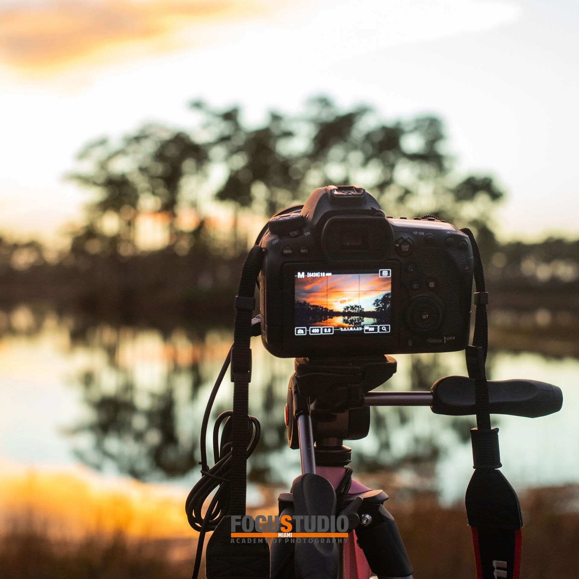 INSTAGRAM LEXP EVERG 6.jpeg