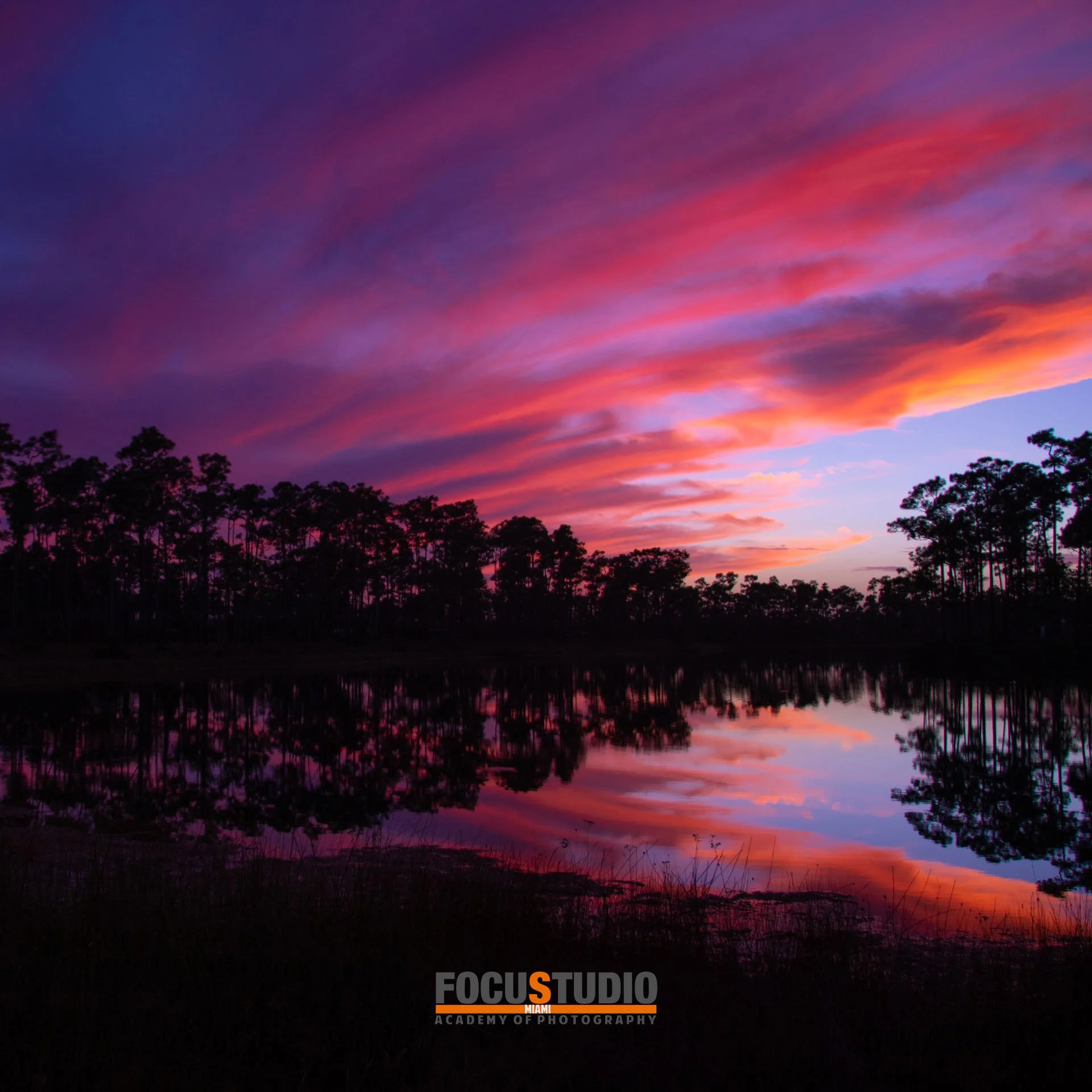 INSTAGRAM LEXP EVERG 1.jpeg