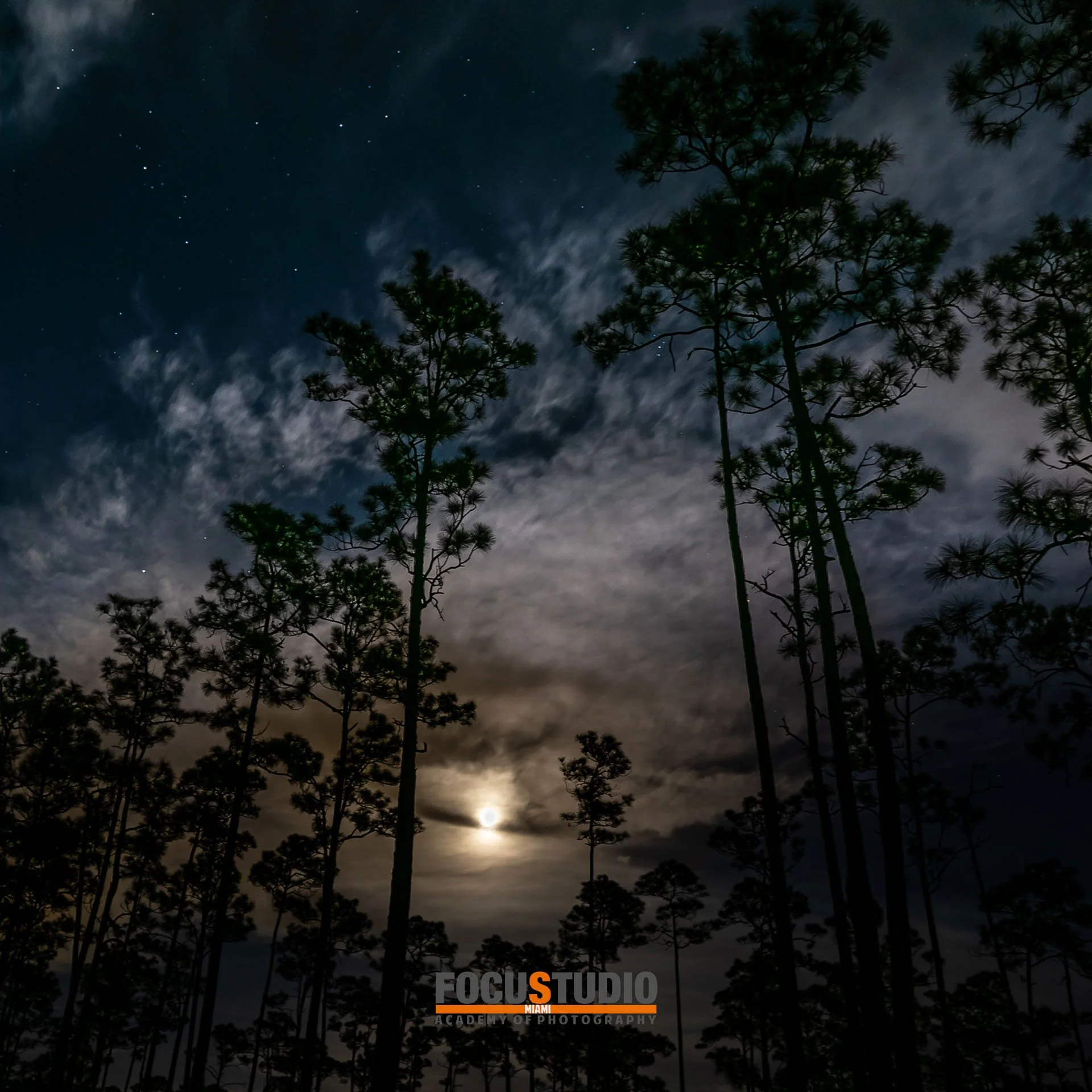 INSTAGRAM LEXP EVERG 4.jpeg