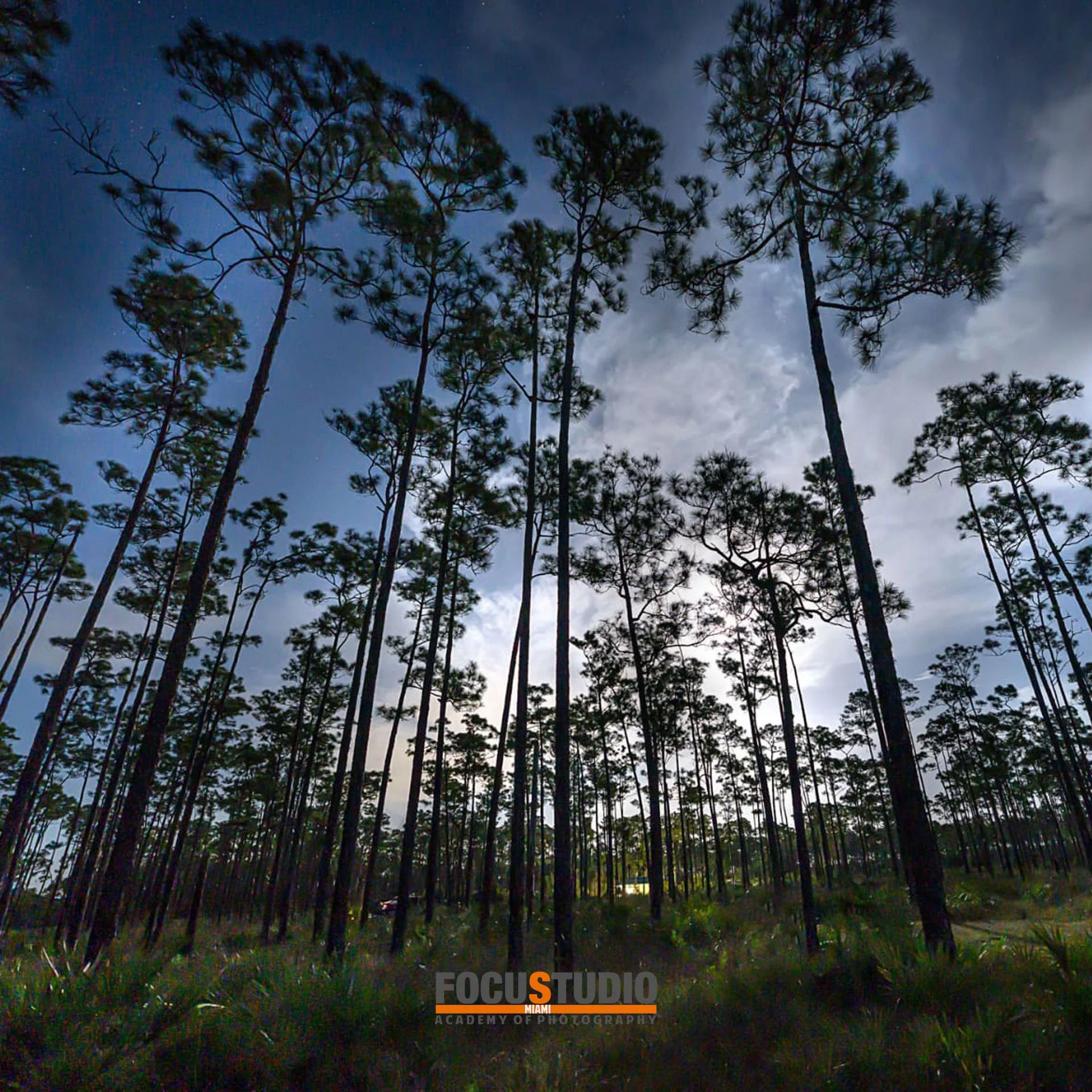 INSTAGRAM LEXP EVERG 3.jpeg