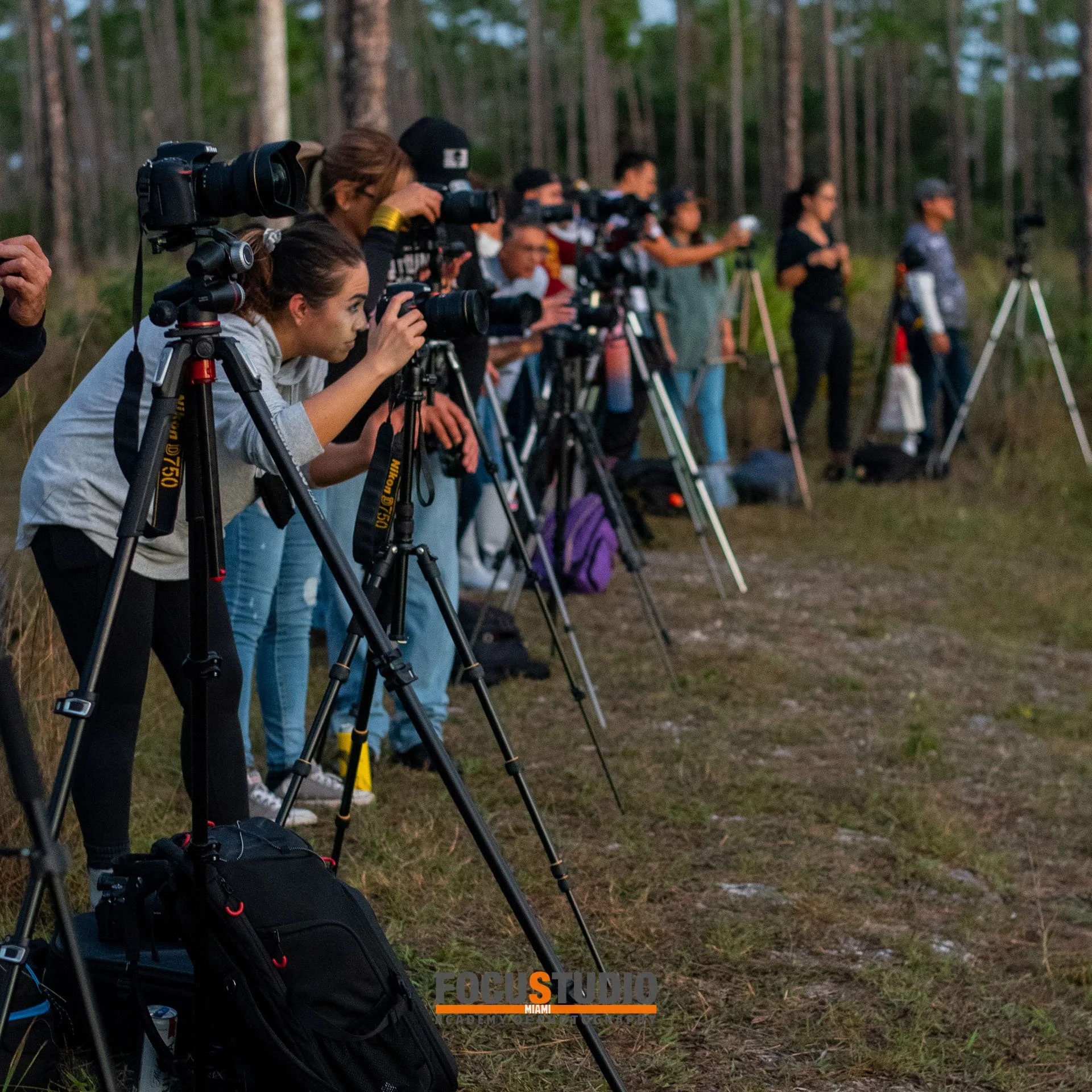 INSTAGRAM EVERG 7.jpeg