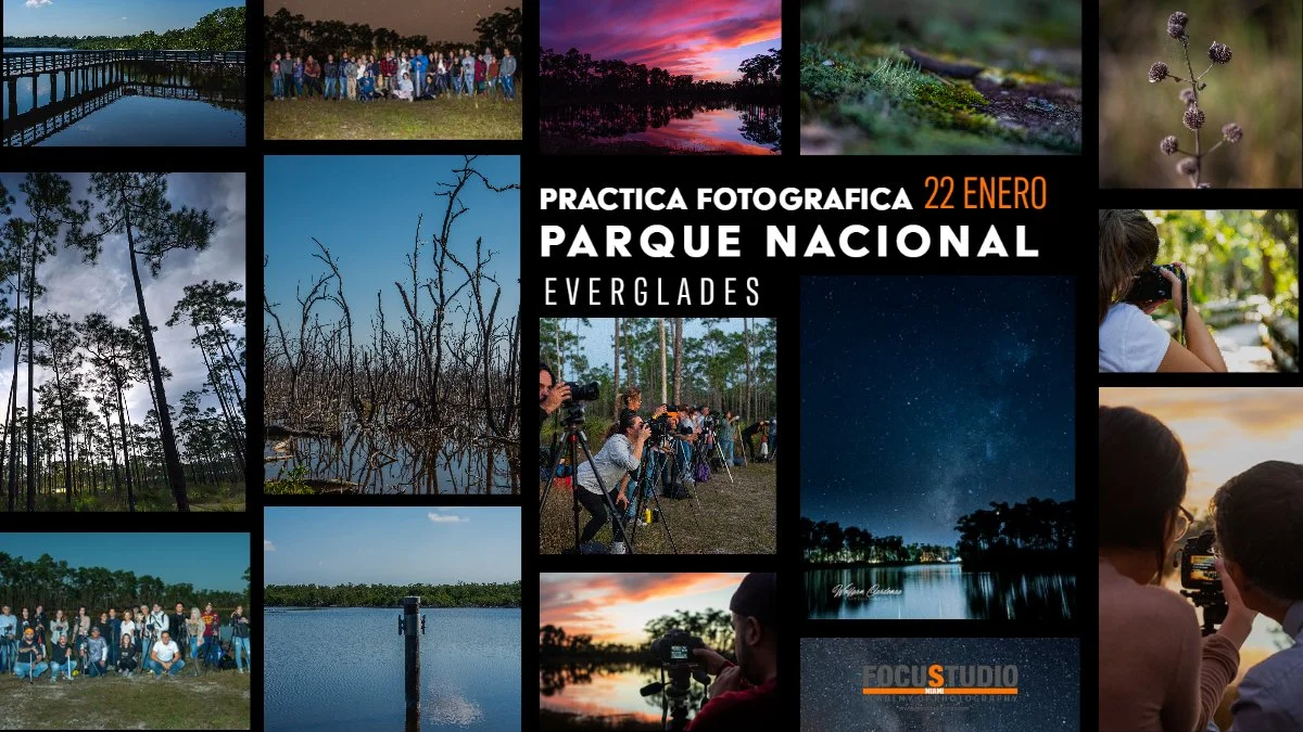 PRACTICA FOTOGRAFICA A LOS EVERGLADES
