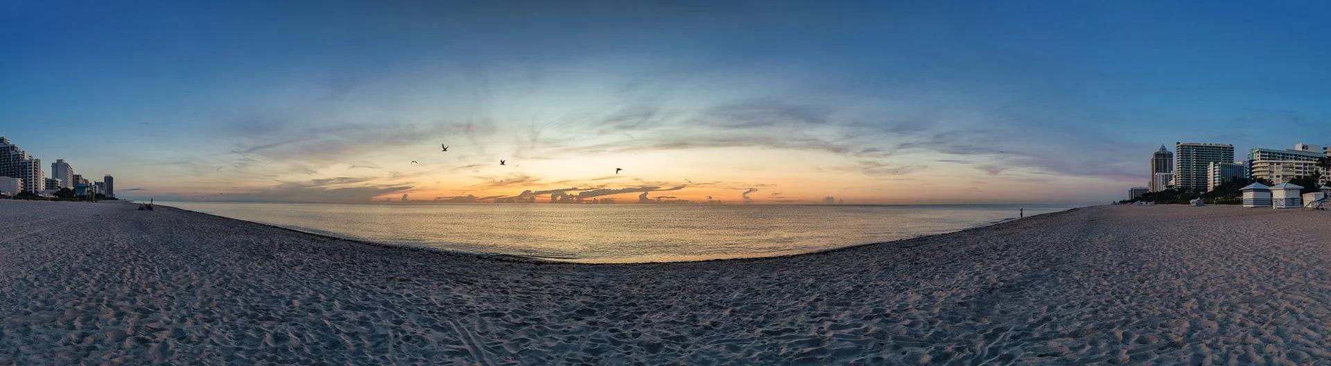 alessia pano miami beach DAWN alessia-1.jpeg