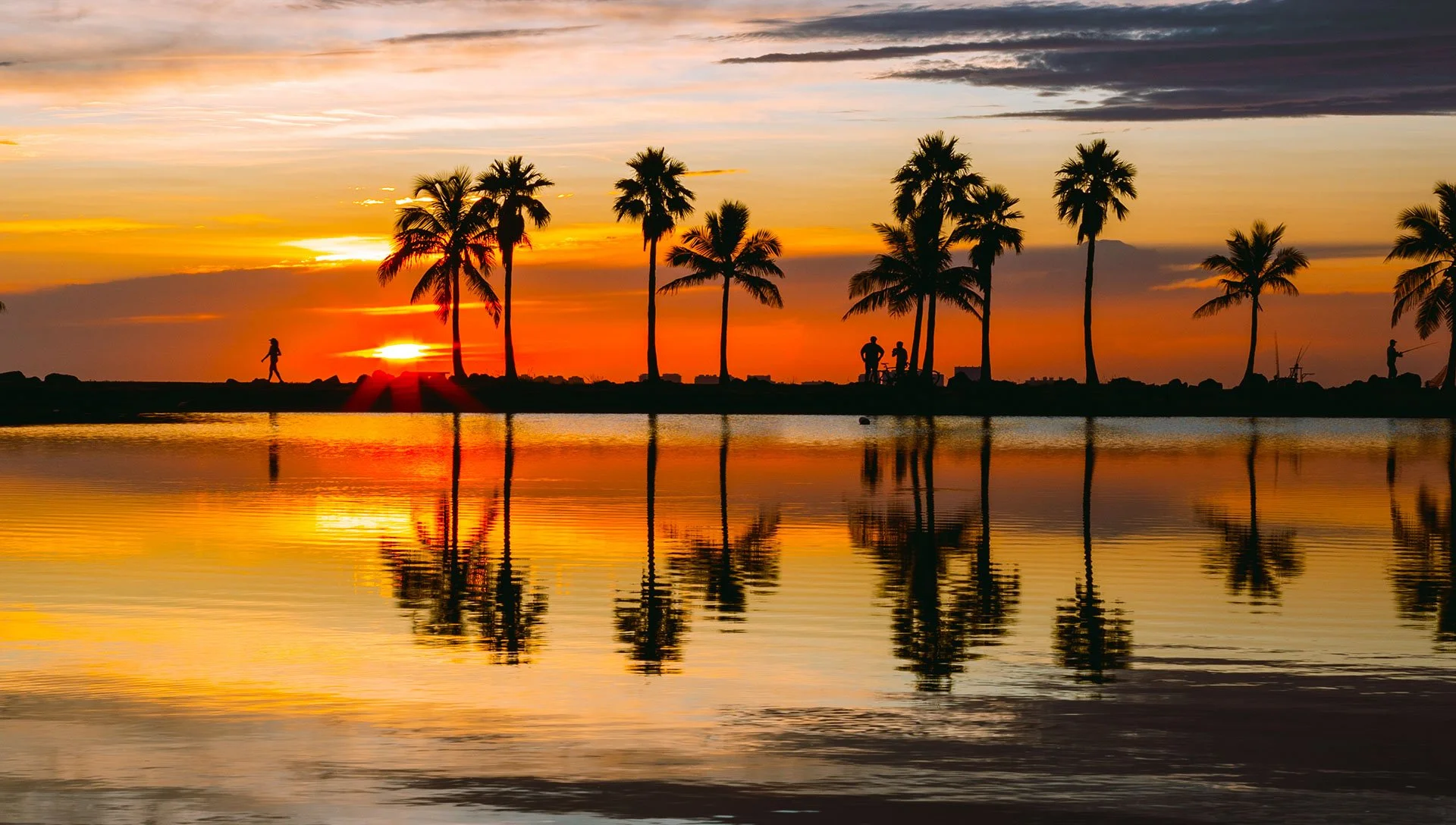 knooss city   (8).jpeg