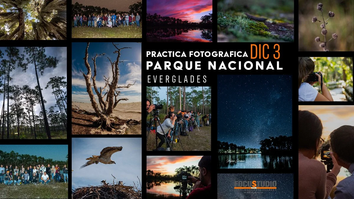 PRACTICA FOTOGRAFICA A LOS EVERGLADES - DIC 2023
