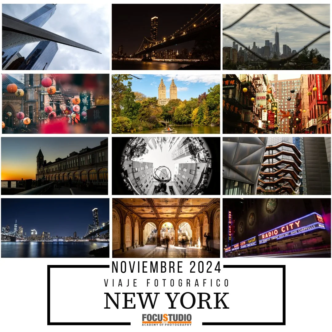 new york 2024 cuad.jpeg