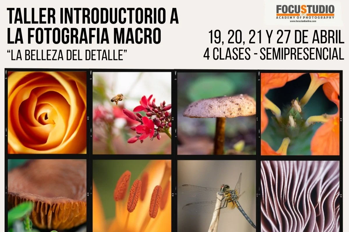TALLER INTRODUCTORIO A LA FOTOGRAFIA MACRO