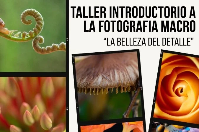 TALLER INTRODUCTORIO A LA FOTOGRAFIA MACRO