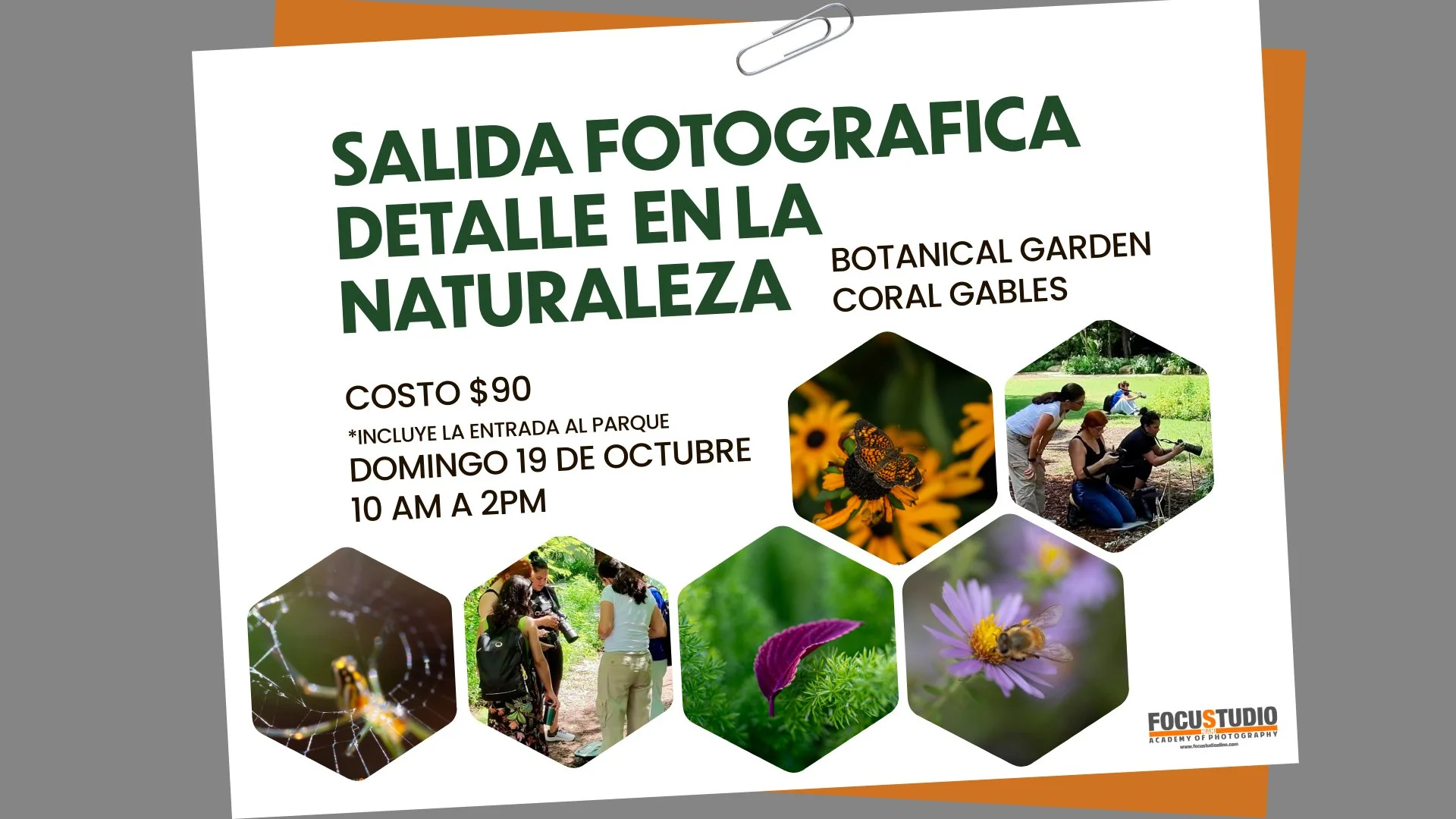 SALIDAS FOTOGRÁFICAS CON FOCUSTUDIO – EL DETALLE DE LA NATURALEZA