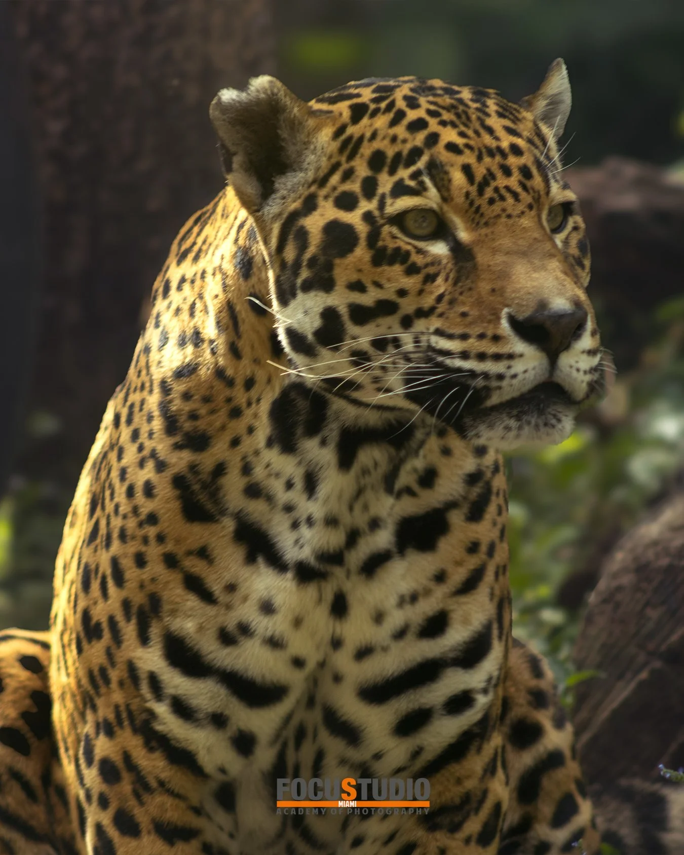 ZOO by Daylet Vazquez044.jpg