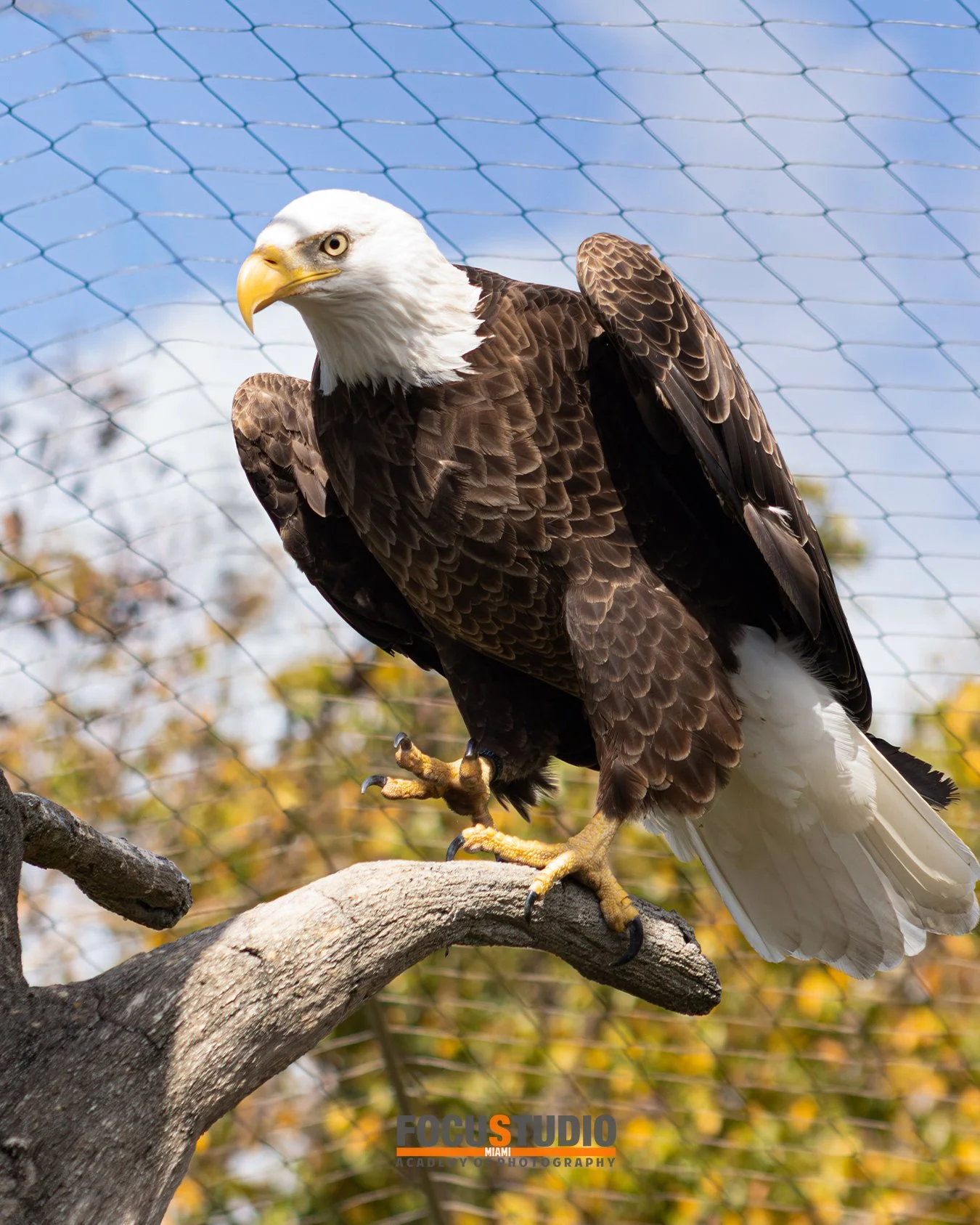 ZOO by Daylet Vazquez043.jpg