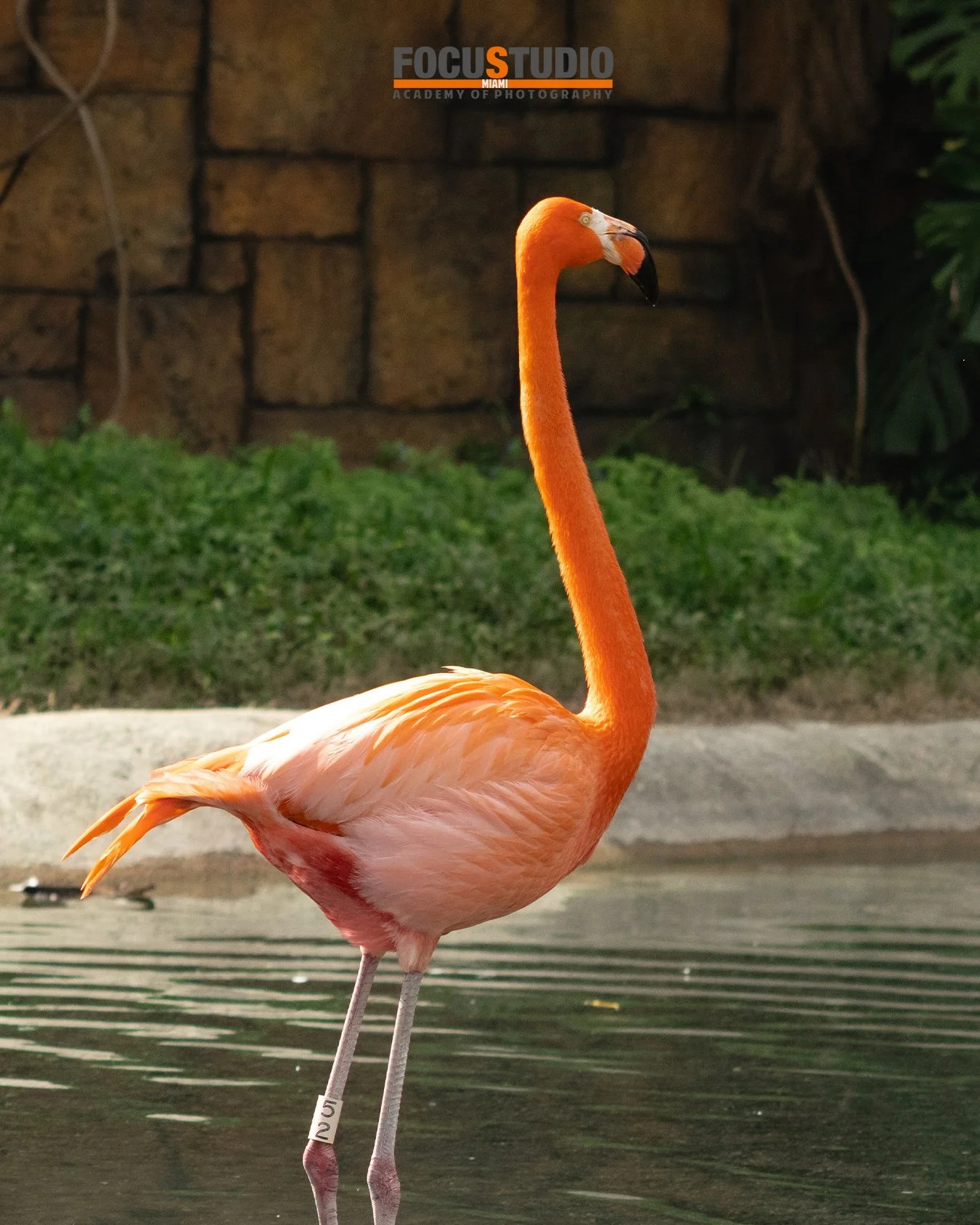 ZOO by Daylet Vazquez039.jpg