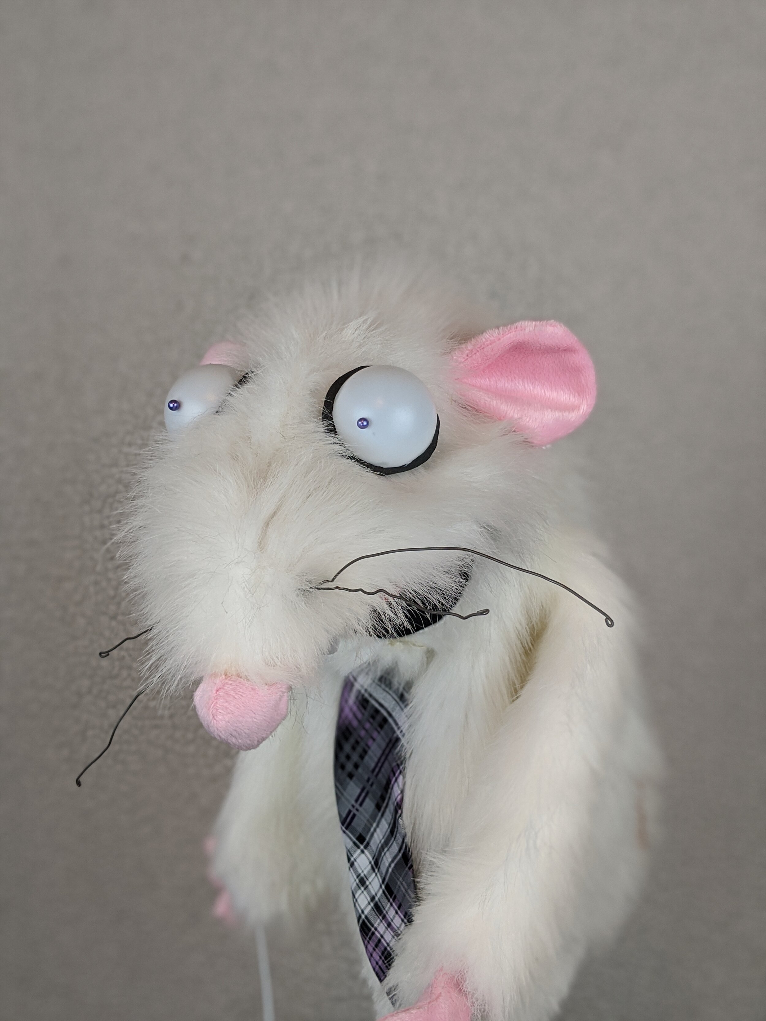 Mole the Rat