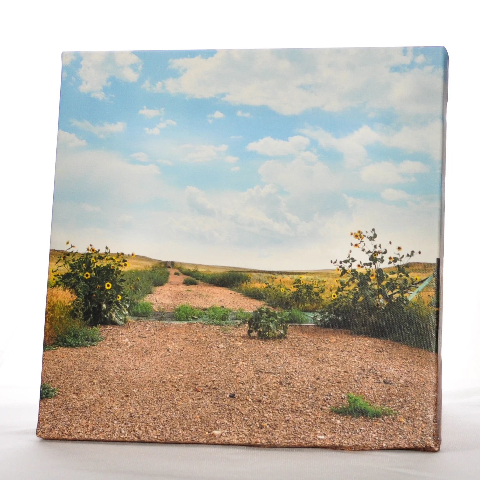 Wyoming Road 10x10