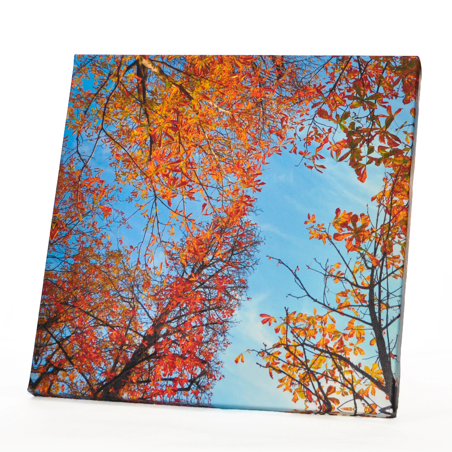 Paris Fall 10x10